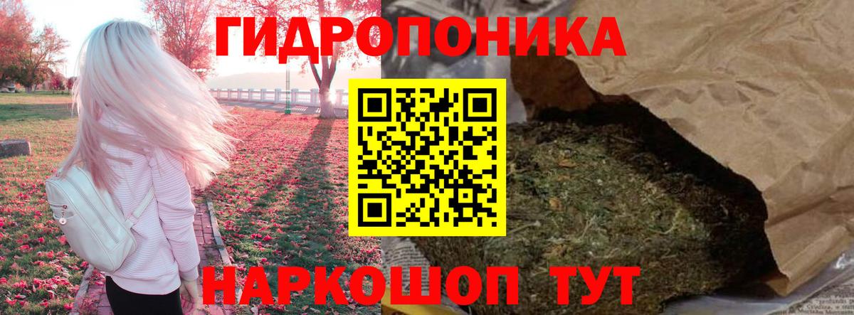 Бошки марихуана конопля  МАРИХУАНА планчик  Вход с VPN  Калининград  Бошки марихуана гибрид 