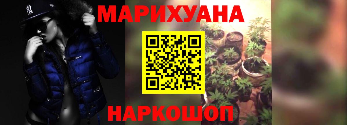 Бошки Шишки план Калининград